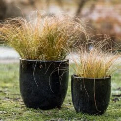 Glazed Ceramic Pot - Misty Black -Ever Bloom Gardens pr2000046301 card5 lg