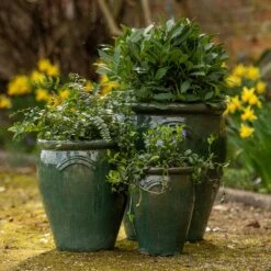 Glazed Terracotta Tulip Pot - Misty Green -Ever Bloom Gardens pr2000046304 card3 lg