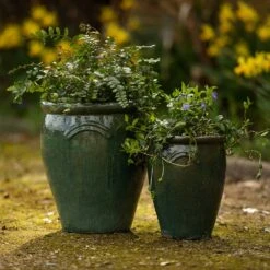 Glazed Terracotta Tulip Pot - Misty Green -Ever Bloom Gardens pr2000046304 card4 lg