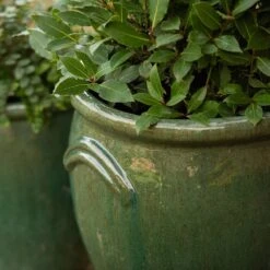 Glazed Terracotta Tulip Pot - Misty Green -Ever Bloom Gardens pr2000046304 card5 lg