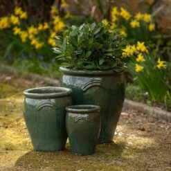 Glazed Terracotta Tulip Pot - Misty Green -Ever Bloom Gardens pr2000046304 card6 lg
