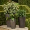 Glazed Terracotta Long Tom Pot - Matt Charcoal -Ever Bloom Gardens pr2000046307
