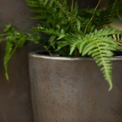 Glazed Terracotta Long Tom Pot - Matt Charcoal -Ever Bloom Gardens pr2000046307 card2 lg