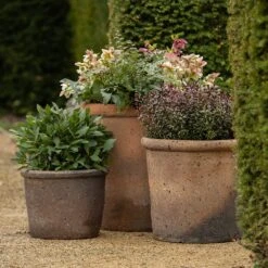 Terracotta Pot - Sandblasted -Ever Bloom Gardens pr2000046311 card3 lg