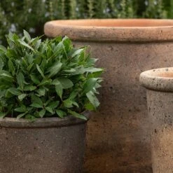 Terracotta Pot - Sandblasted -Ever Bloom Gardens pr2000046311 card5 lg