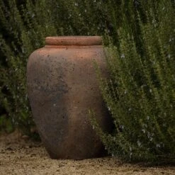 Terracotta Jar - Sandblasted 11 Terracotta Jar - Sandblasted -Ever Bloom Gardens pr2000046313 card3 lg