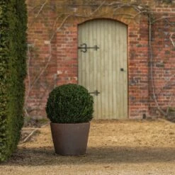 Tapered Terracotta Pot - Sandblasted -Ever Bloom Gardens pr2000046314 card6 lg