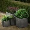 Cement Cube Pot - Waxed -Ever Bloom Gardens pr2000046317