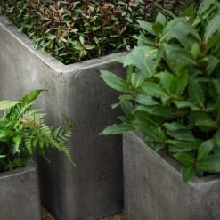 Cement Cube Pot - Waxed -Ever Bloom Gardens pr2000046317 card3 lg