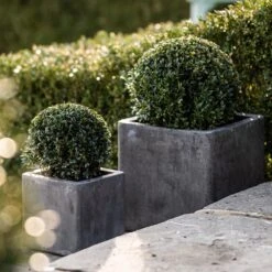 Cement Cube Pot - Waxed -Ever Bloom Gardens pr2000046317 card5 lg