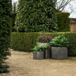 Cement Cube Pot - Waxed -Ever Bloom Gardens pr2000046317 card6 lg