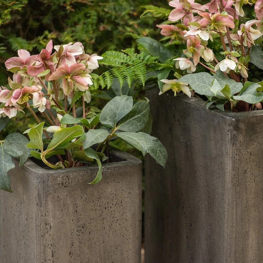 Tall Cement Cube Pot - Waxed 4 Tall Cement Cube Pot - Waxed - Image 2