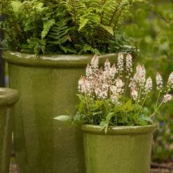 Glazed Ceramic Pot - Green -Ever Bloom Gardens pr2000046324 card4 lg