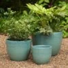 Glazed Terracotta Pot - Reef Blue -Ever Bloom Gardens pr2000046329