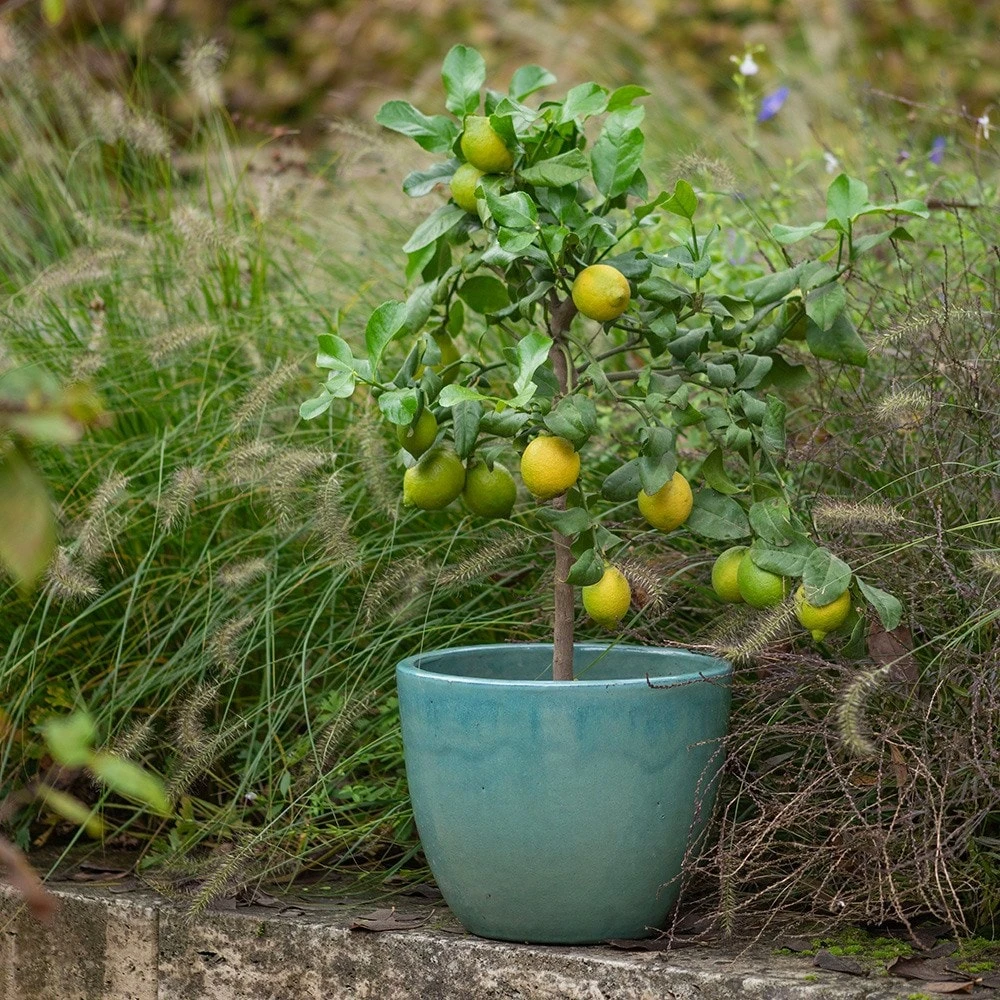 Glazed Terracotta Pot - Reef Blue 4 Glazed Terracotta Pot - Reef Blue - Image 2