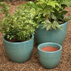 Glazed Terracotta Pot - Reef Blue 11 Glazed Terracotta Pot - Reef Blue -Ever Bloom Gardens pr2000046329 card4 lg