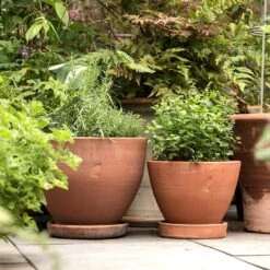 Terracotta Herb Pot And Saucer - Small -Ever Bloom Gardens pr2000046524 card4 lg