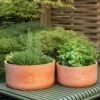Terracotta Herb Bowl - Large 1 Terracotta Herb Bowl - Large -Ever Bloom Gardens pr2000046525