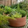 Terracotta Herb Bowl - Small -Ever Bloom Gardens pr2000046526