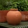 Terracotta Erigeron Pot - Large