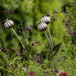 Poppy Seed Head Stake - Large Seed Head -Ever Bloom Gardens pr2000046971 card6 lg