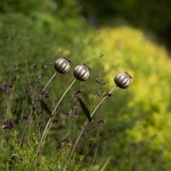 Poppy Seed Head Stake - Large Seed Head -Ever Bloom Gardens pr2000046971 card9 lg