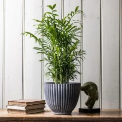 Ribbed Terracotta Plant Pot - Dark Grey