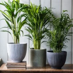 Ribbed Terracotta Plant Pot - Dark Grey -Ever Bloom Gardens pr2000047103 card3 lg