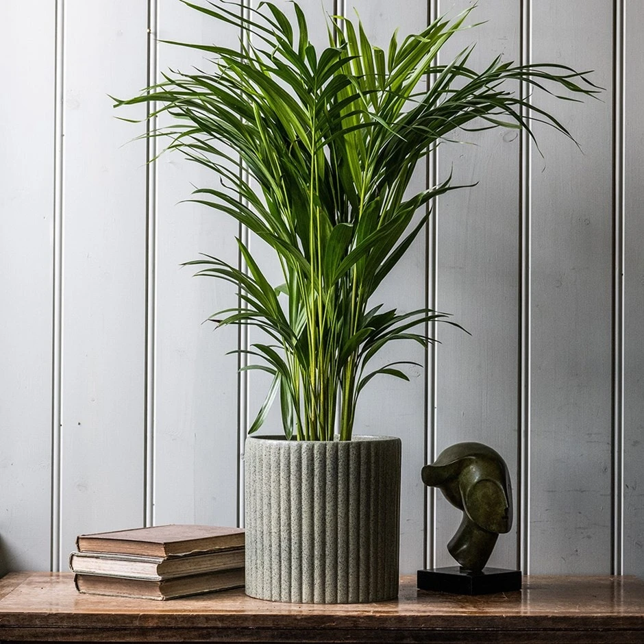 Stone Ribbed Speckle Plant Pot - Green 3 Stone Ribbed Speckle Plant Pot - Green