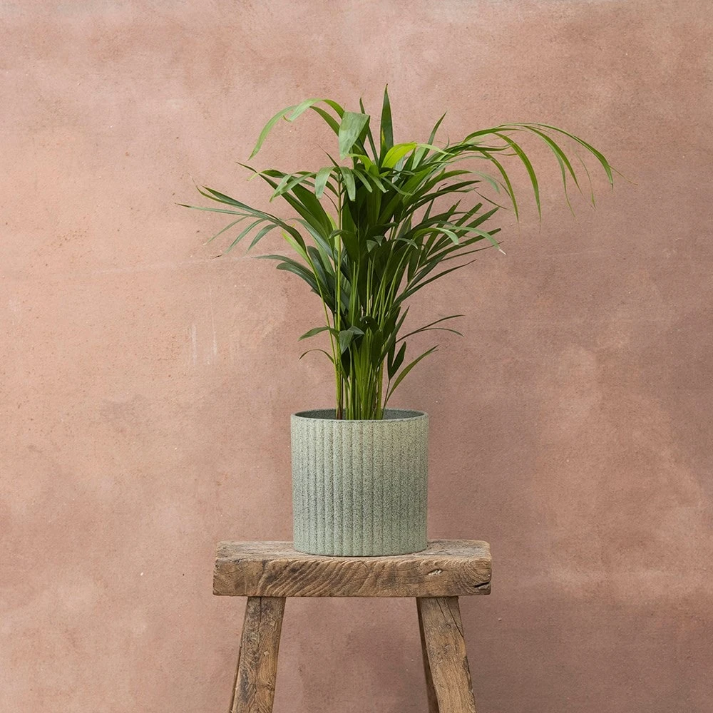 Stone Ribbed Speckle Plant Pot - Green 4 Stone Ribbed Speckle Plant Pot - Green - Image 2