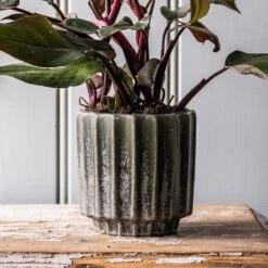 Scalloped Reactive Plant Pot - Green 7 Scalloped Reactive Plant Pot - Green -Ever Bloom Gardens pr2000047910 card3 lg