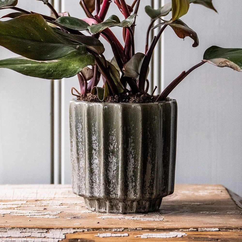 Scalloped Reactive Plant Pot - Green 5 Scalloped Reactive Plant Pot - Green - Image 3