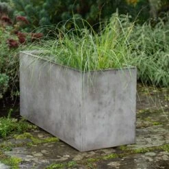 Rectangular Terrace Planter - Weathered Cement -Ever Bloom Gardens pr2000048710 card4 lg