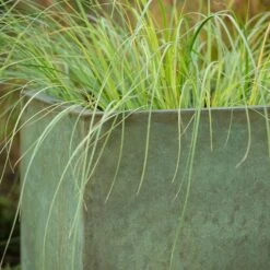 Rectangular Terrace Planter - Verdigris -Ever Bloom Gardens pr2000048712 card5 lg