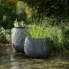 Ripple Bowl Planter - Ash Grey -Ever Bloom Gardens pr2000048719