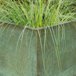 Square Terrace Planter - Verdigris -Ever Bloom Gardens pr2000048721 card6 lg
