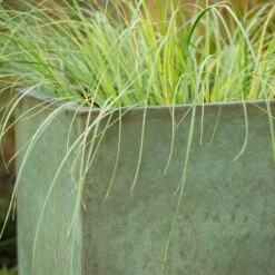 Square Terrace Planter - Verdigris -Ever Bloom Gardens pr2000048721 card8 lg