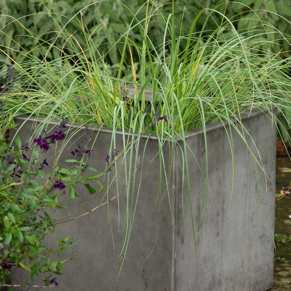Square Terrace Planter - Weathered Cement 4 Square Terrace Planter - Weathered Cement - Image 2