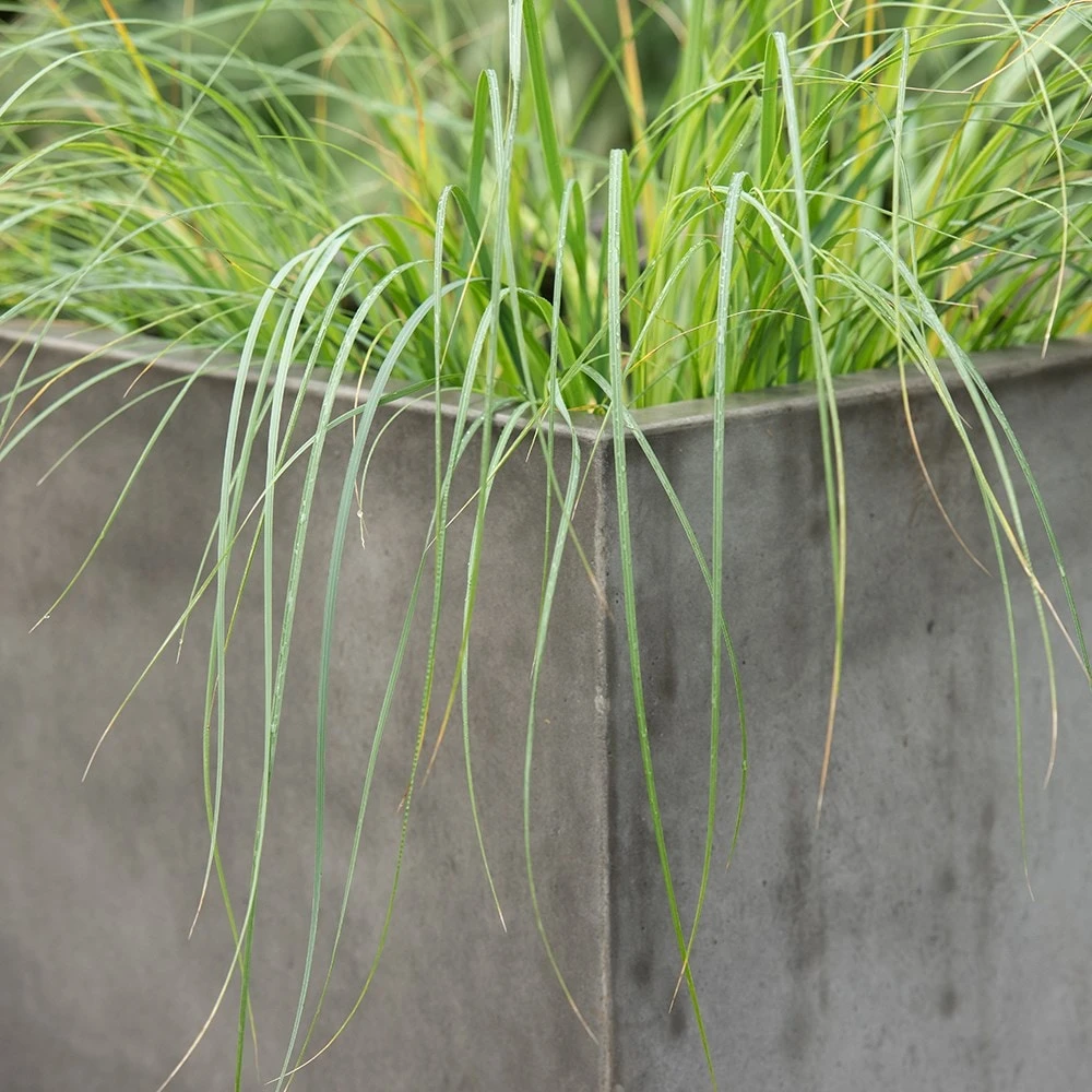 Square Terrace Planter - Weathered Cement 7 Square Terrace Planter - Weathered Cement - Image 5