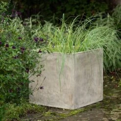 Square Terrace Planter - Weathered Cream -Ever Bloom Gardens pr2000048723 card3 lg