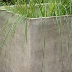 Square Terrace Planter - Weathered Cream -Ever Bloom Gardens pr2000048723 card5 lg