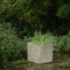 Square Terrace Planter - Weathered Cream -Ever Bloom Gardens pr2000048723 card6 lg