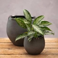 Round Glazed Ombre Plant Pot - Dark Grey